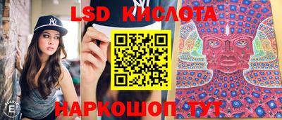 ГАЛЛЮЦИНОГЕННЫЕ ГРИБЫ Рязань