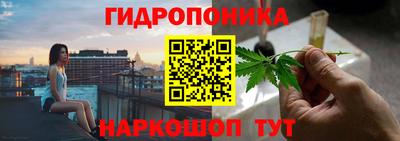 крисы Рузаевка